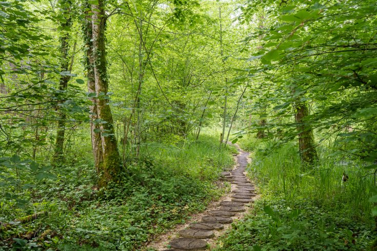 Hébergement AbracadaRoom : Cabane Corydalis & Balnéo - Image 22