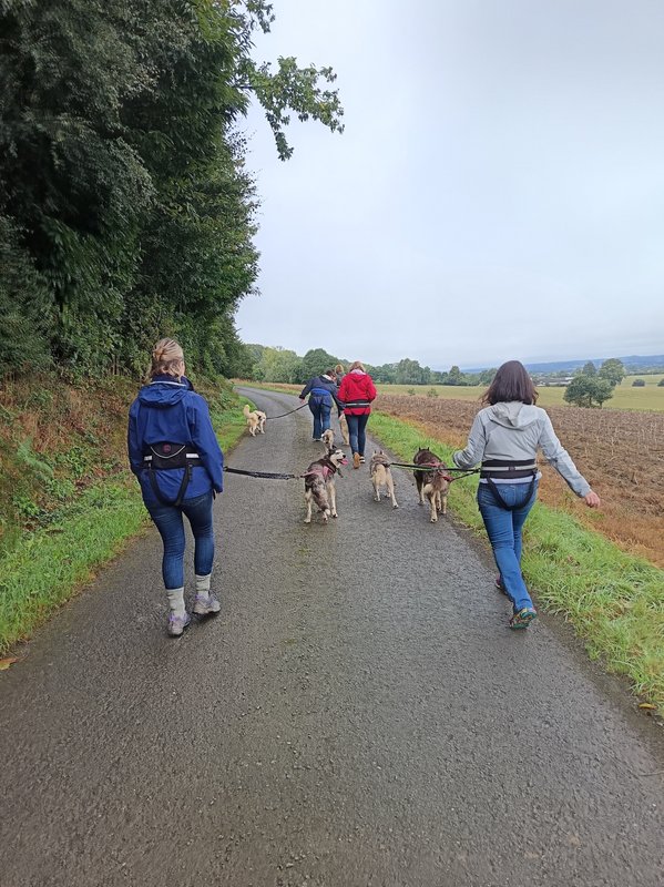 Le Ranch Normand à Les Cresnays (14)