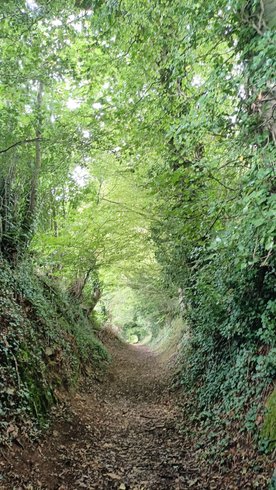 Domaine AbracadaRoom : Le Chaudron Magique de Loguivy - Image 10