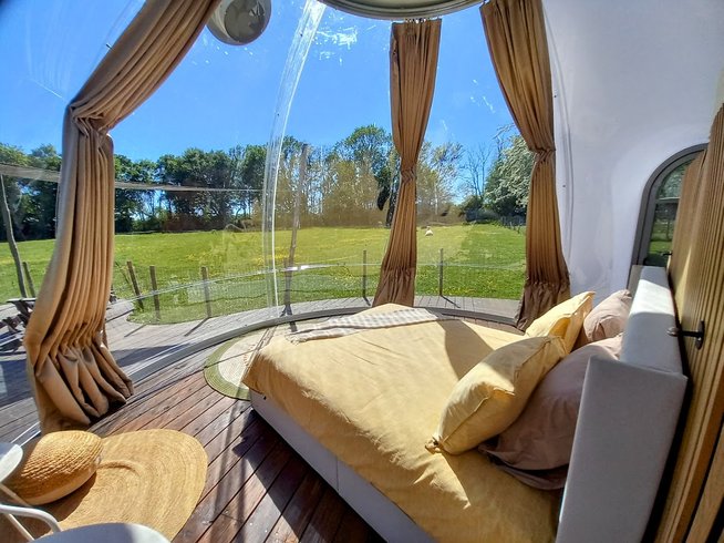 Hébergement AbracadaRoom : La Bulle des Alpagas - Image 1