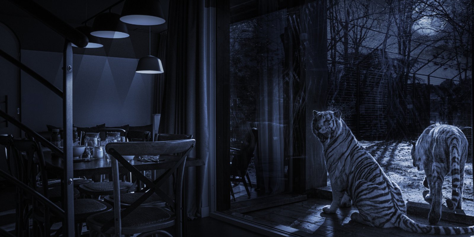 Lodge Tigres blancs à Pessac (2)