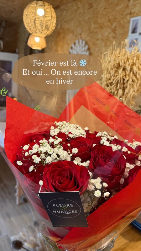 "M"ANON-Dôme Géodésique, piscine, spa et sauna. à Malves En Minervois (62)