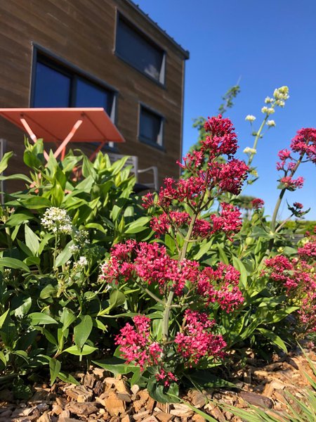 Hébergement AbracadaRoom : Tiny de Ker Ael - Image 13