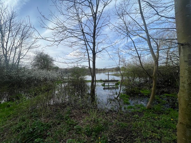 Hébergement AbracadaRoom : Suite Romantique lost paradise  avec spa, sauna et douche bien être - Image 13