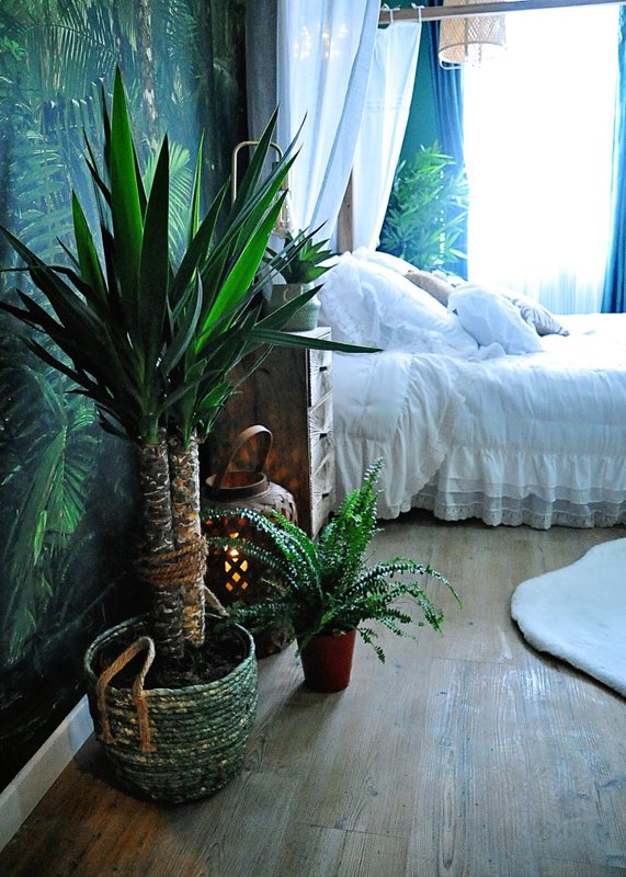 Évasion romantique au coeur de l'Amazonie, SPA, CINÉMA PRIVÉ, 5 min centre à Evreux (33)
