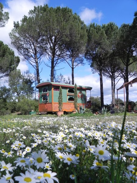 Hébergement AbracadaRoom : Le Voyage Imaginaire - Image 4