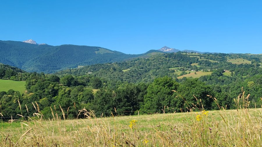 Domaine AbracadaRoom : Yourte Pyrénées - Image 7