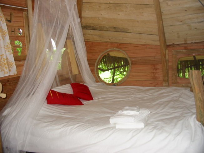 Hébergement AbracadaRoom : Chêne fou - Image 12
