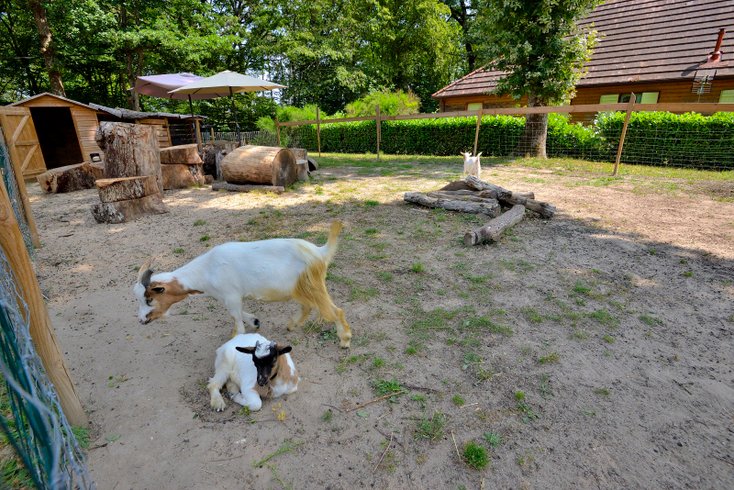 Domaine AbracadaRoom : Seasonova Camping Etang de la  Vallée - Image 27