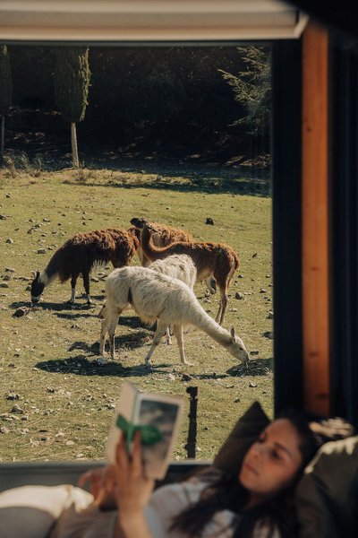 Domaine AbracadaRoom : Parcel Tiny House - au pied du Mont Ventoux - Image 41