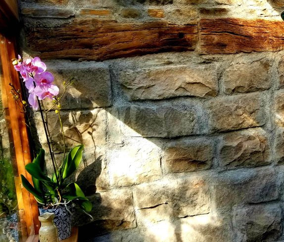 Hébergement AbracadaRoom : Cybèle, bulle perchée de la vallée - Image 19