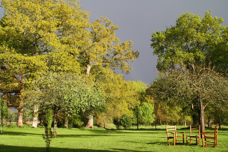 Domaine AbracadaRoom : Manoir de l'Alleu - Image 9