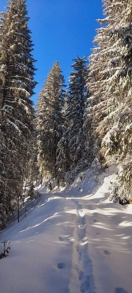 Domaine AbracadaRoom : Les Logettes de Caroline - Image 24