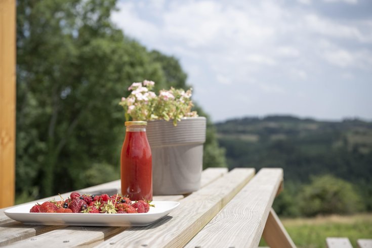 Hébergement AbracadaRoom : PATiny Lodge - Image 13