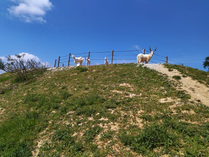 Hébergement AbracadaRoom : Bulle étoilée - Image 8