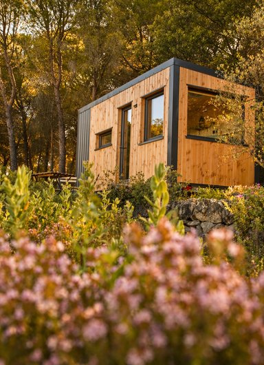 Homnest -Mélodie Provençale en Sainte-Baume à Correns