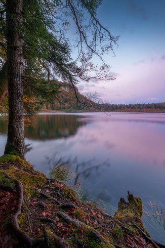 Domaine AbracadaRoom : Les Cabanes du Hérisson - Image 5