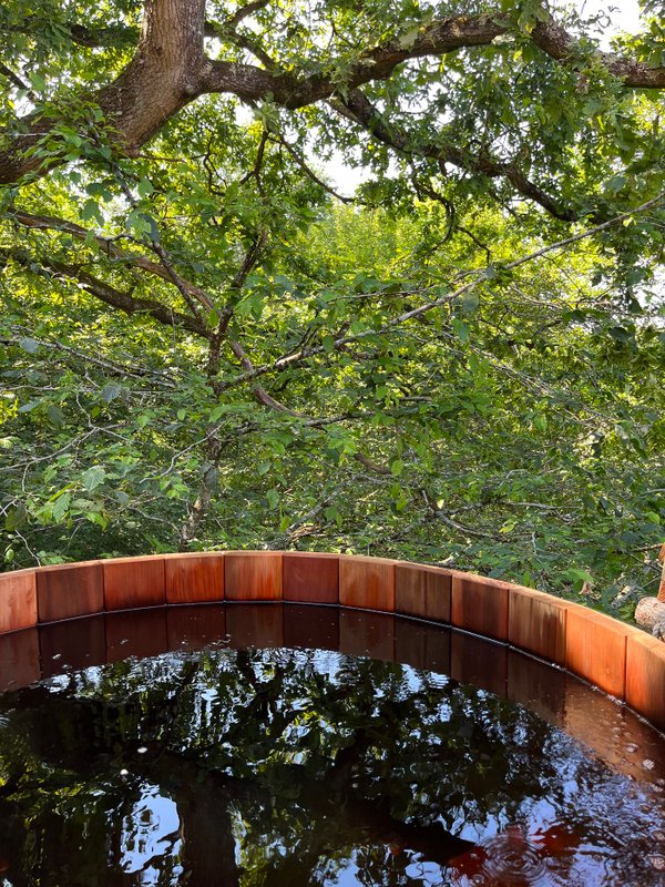 Cabane Spa Belle Forêt à St-Léger-Aux-Bois (9)