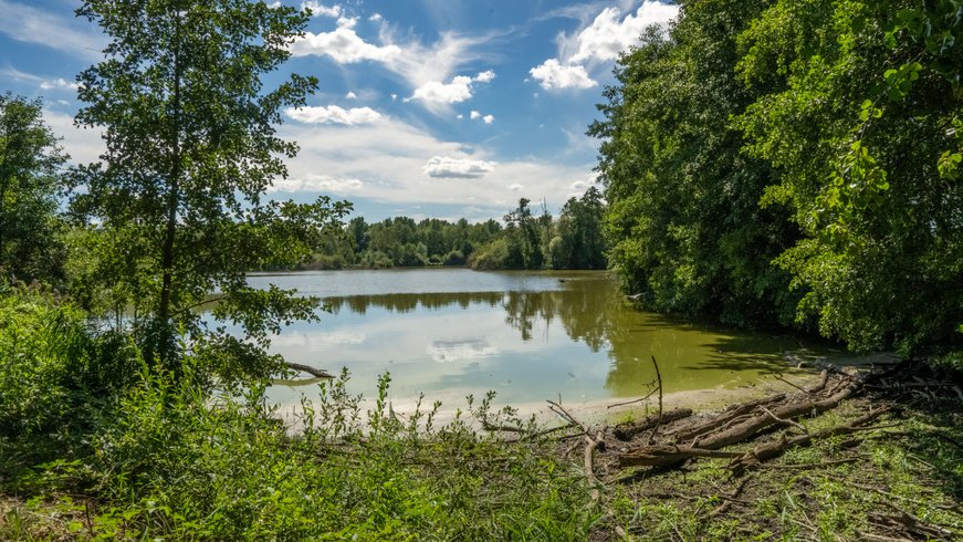 Domaine AbracadaRoom : Un Lit Au Pré -  La ferme de Fontenille - Image 7