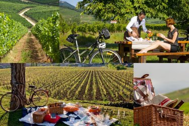 Tonneau Prestige et découverte viticole à Jonquières (3)