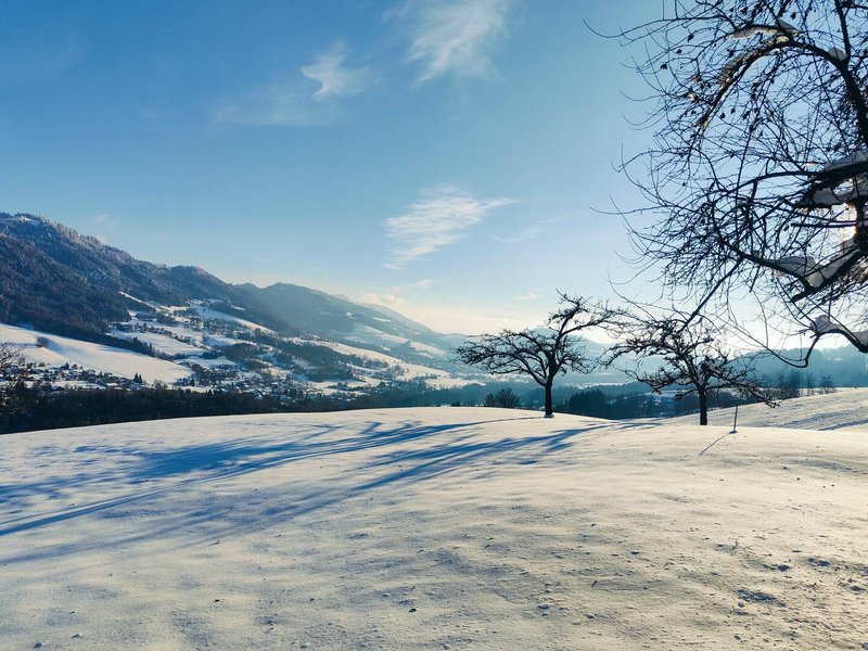 Domaine AbracadaRoom : Refuge insolite avec vue panoramique - Image 1