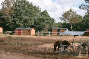 Roulotte supérieure  - Campo 1