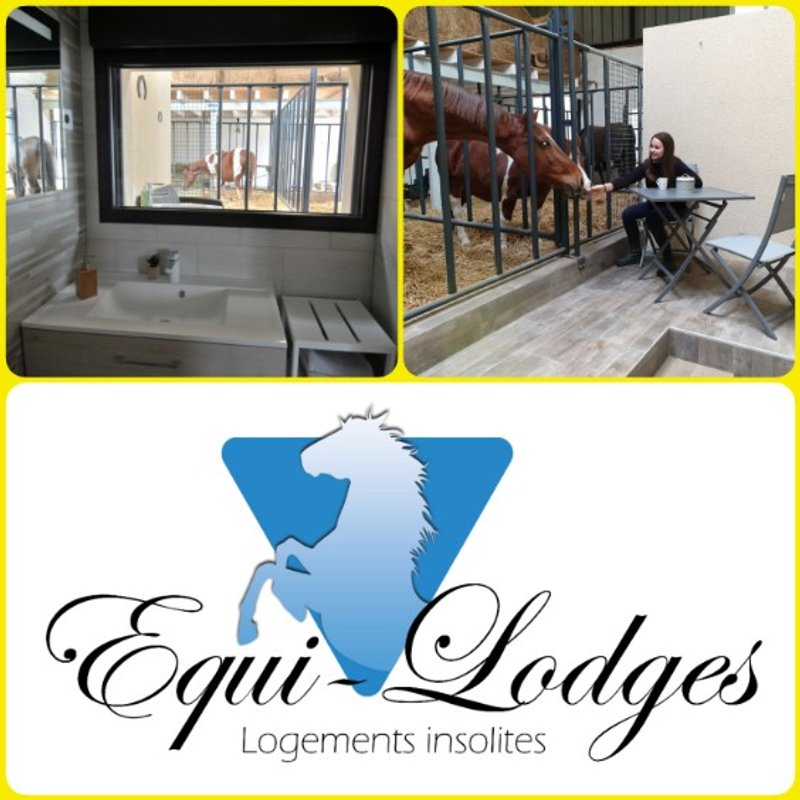 [2] Lodge 4 pers. terrasse avec  des chevaux à votre chevet à Fraisnes-En-Saintois (8)