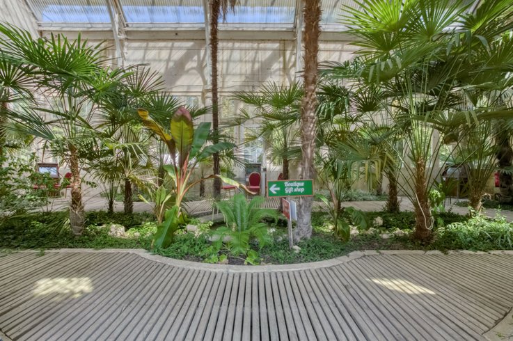 Domaine AbracadaRoom : Sur un Arbre Perché - Image 6