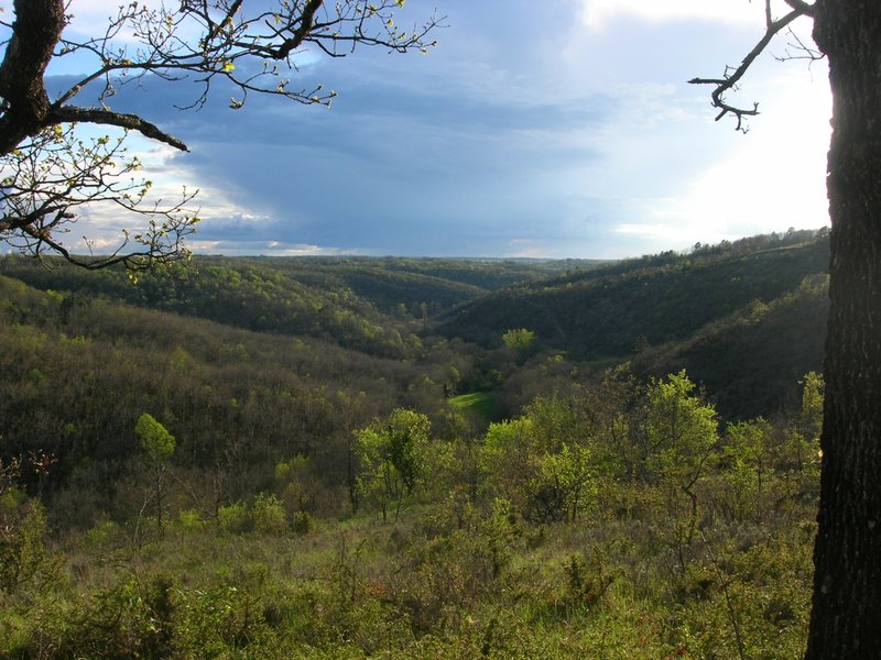 Domaine AbracadaRoom : Les Hauts d'Albas - Image 1