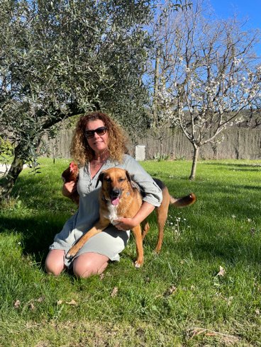 Domaine AbracadaRoom : Le nid en Provence - Image 12