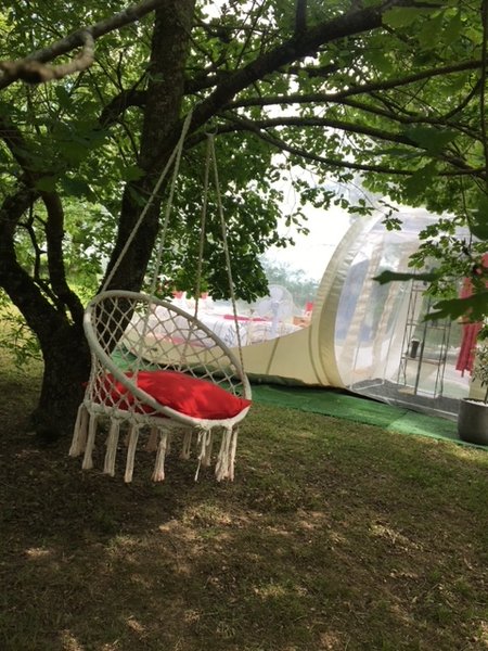 Domaine AbracadaRoom : Bulle des 2 arbres de la sagesse - Image 23