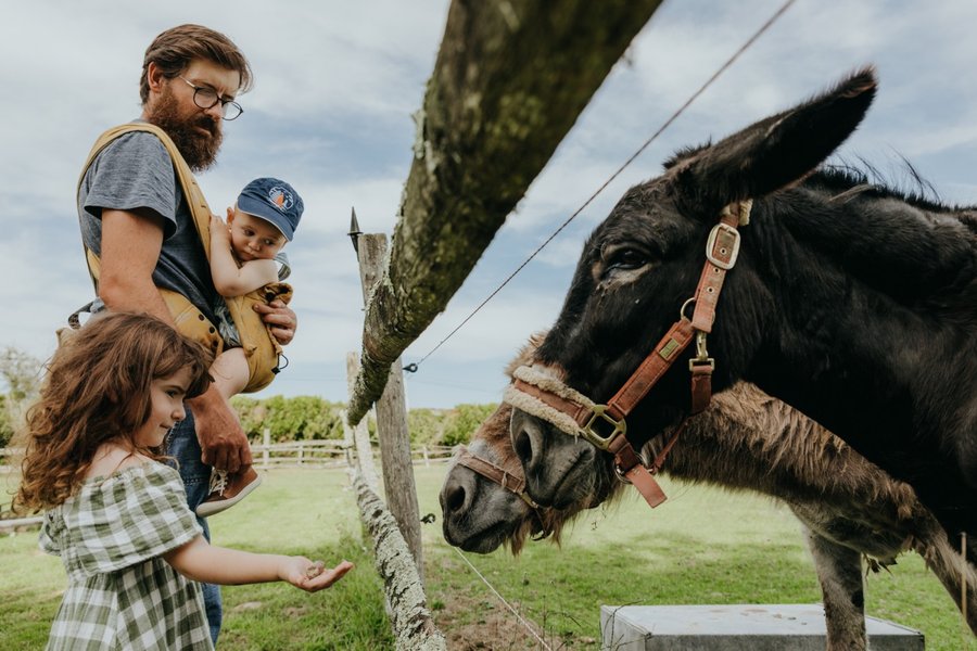 Hébergement AbracadaRoom : Parcel Tiny House - sur les berges d'un étang en Bourgogne (1) - Image 8