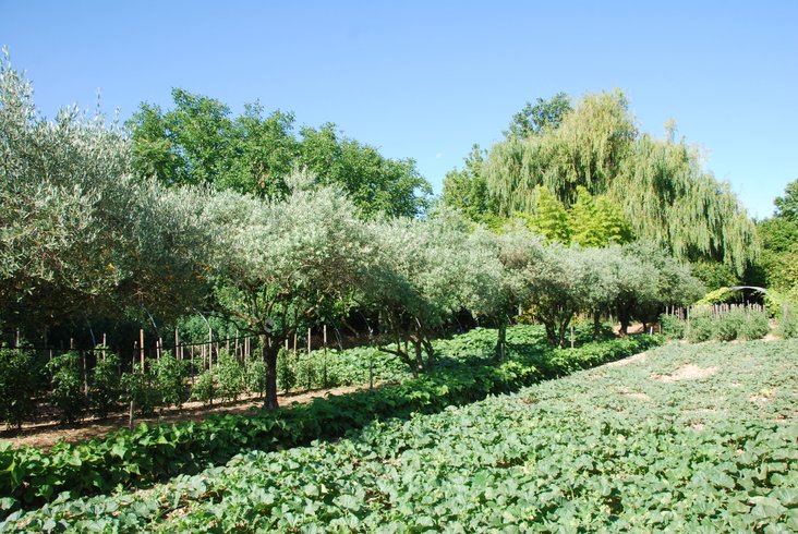 Domaine AbracadaRoom : Nid'Oiselet - Image 21