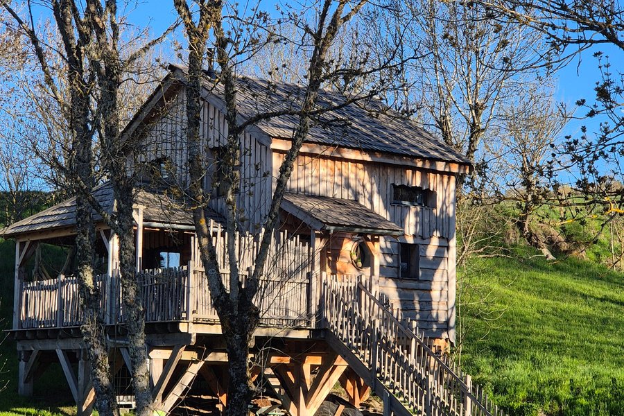 Cabane Spa Bérénice — photo 2