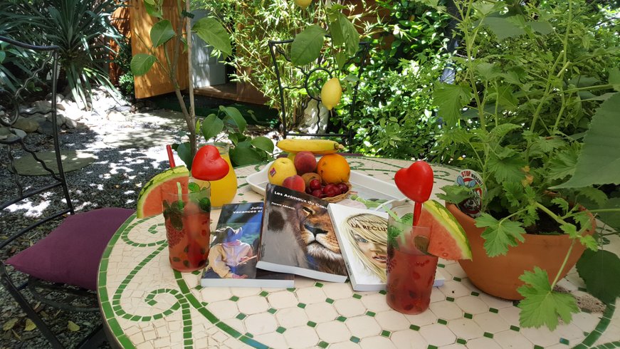 Hébergement AbracadaRoom : Tiny Églantine – Cocon de douceur - Image 4