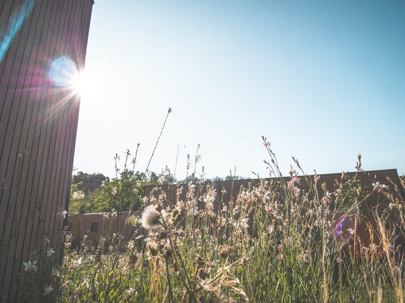 Domaine AbracadaRoom : DOMAINE DES 7 CEPAGES - Image 16