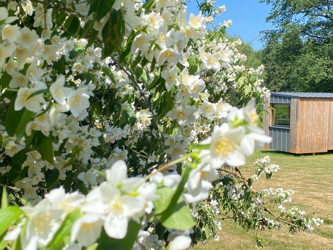 Domaine AbracadaRoom : Homnest (Uzemain) - Image 16