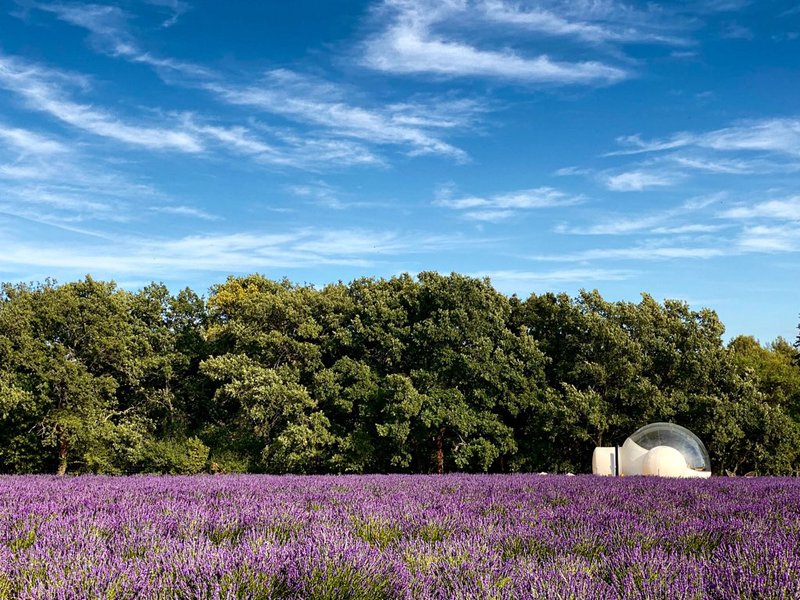 Domaine AbracadaRoom : Bulle du Lavandin - Image 4