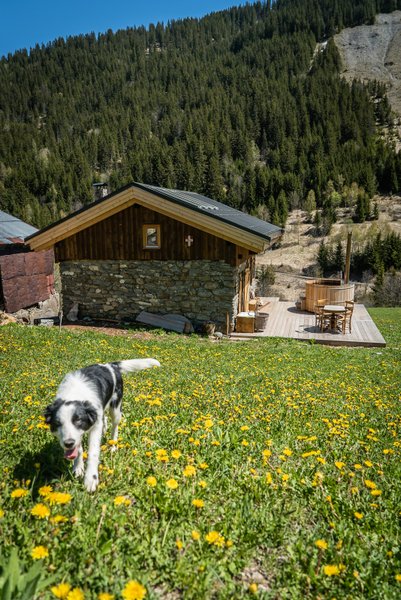 Domaine AbracadaRoom : Chez Mil'gonnet - Image 3