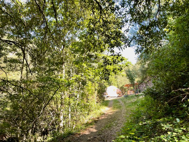 Hébergement AbracadaRoom : Hidden Dome in nature - Image 2