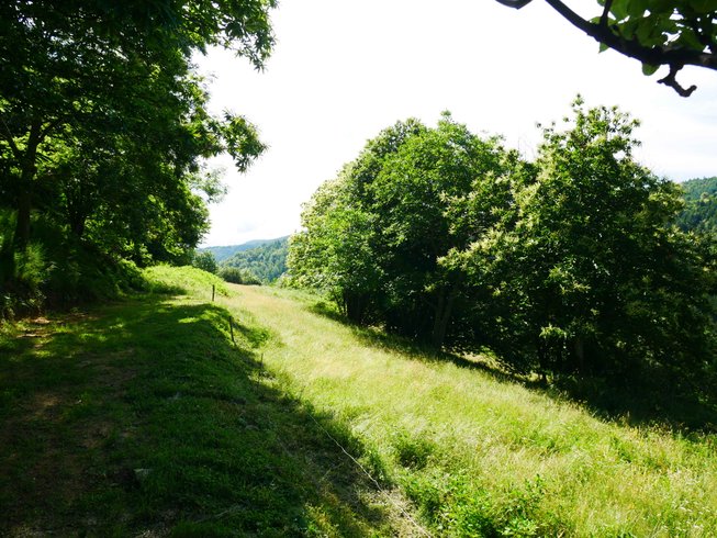 Hébergement AbracadaRoom : Tiny en pleine nature pour se ressourcer - Image 12