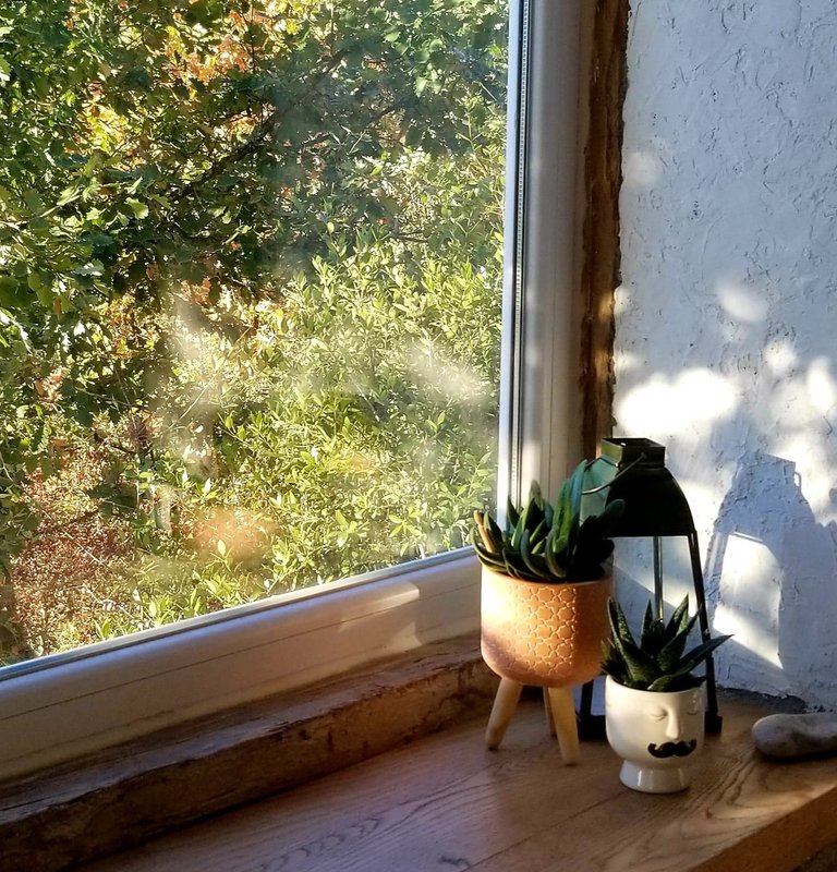 Sweet Dream & spa avec vue rivière à Réquista (38)