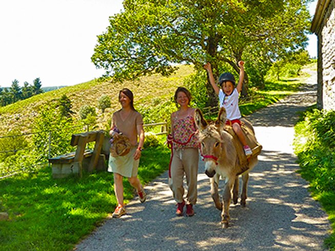 Domaine AbracadaRoom : La Bergerie du Plateau - Image 7