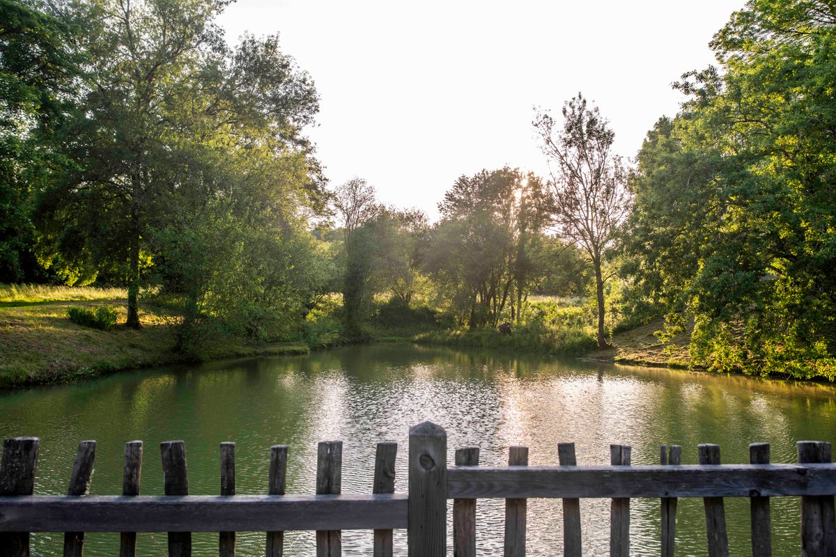 Cabane du Lac & Spa à Saint- Martin Des Combes (4)