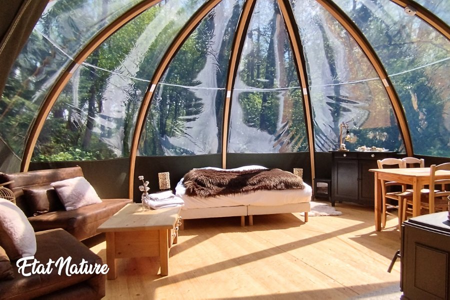 Hébergement AbracadaRoom : La Bulle  forestière Etat Nature - Image 4