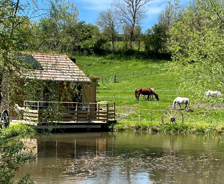 Hébergement AbracadaRoom : Cabane au bord de l'eau - Image 2