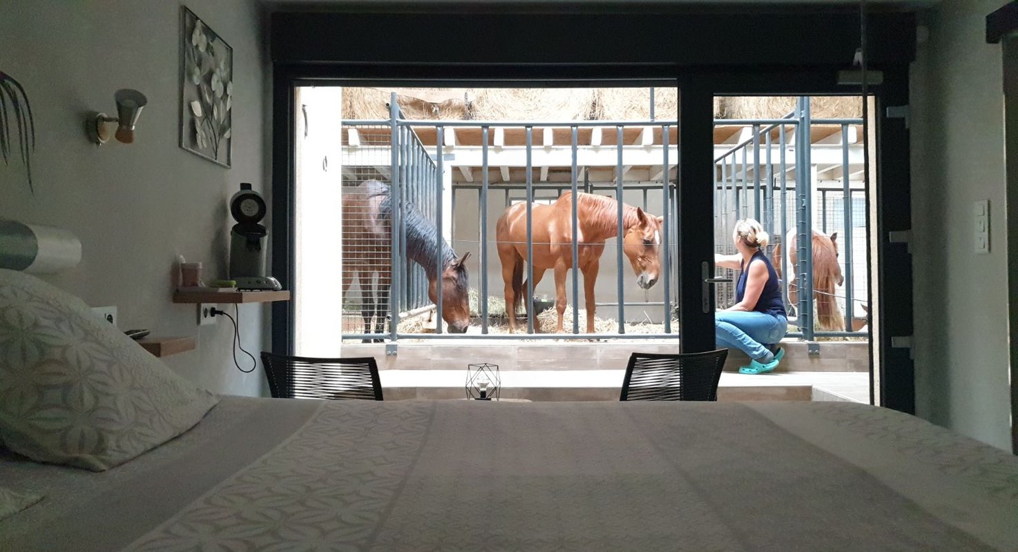 [2] Lodge 4 pers. terrasse avec  des chevaux à votre chevet à Fraisnes-En-Saintois (5)