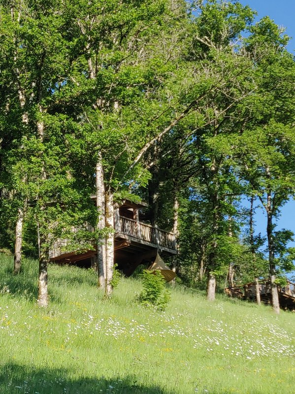 Cabane  Chataignier à Singles (2)