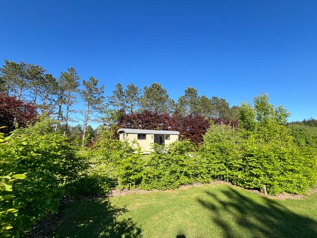 Domaine AbracadaRoom : Pine Tree tiny cottage - Image 18