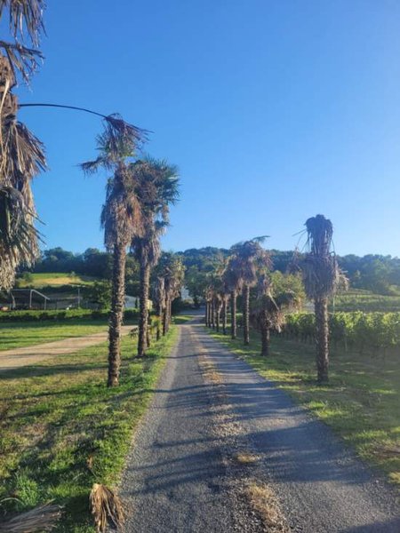 Domaine AbracadaRoom : Le Dôme du Lac de la Cadie - Image 8